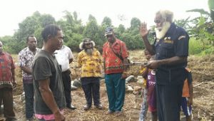 Ada Honai Nusantara di Nabire nanti