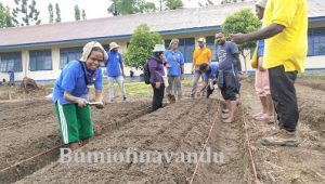 KKN Uswim Nabire angkatan XXXI fokus pertanian