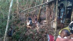 JDP desak Jokowi hentikan langkah operasi militer di Sorong