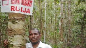 Masyarakat Adat Yerisiam Kembali Membangun “Ruija”