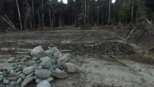 JDI diminta tidak benturkan aparat dengan masyarakat adat