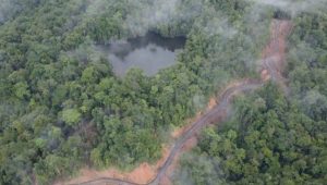 Situs Sakral Masyarakat Adat Kuri Teluk Wondama Dirusak Perusahaan Kayu