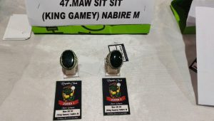 Batu Giok Nabire naik daun di luar Papua