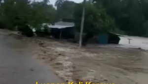 Hujan lebat di Nabire 9 Agustus kemarin, ini analisis BMKG