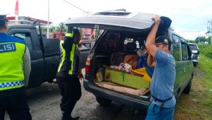 Sudah dibahas penertiban mobil Nangka di DPRD Nabire, Kapolres; seluruh pihak harus berperan