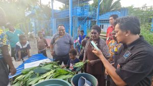 Produksi teh dari mangrove di Mimika butuh binaan dan dukungan pemerintah