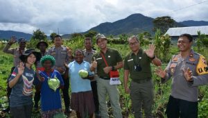 Binmas Noken Polri bantu Petani di Dogiyai