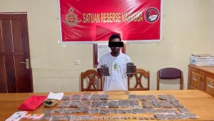 Seorang pemuda ditangkap Sat Narkoba Polres Nabire