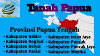 Daftar Bupati dan Wakil di Pemprov Papua Tengah hingga 2024