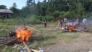 Polisi Nabire  bakar tempat sambung ayam