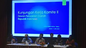 Komite II DPD RI terima aspirasi dari perihal tailing PTFI