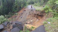 Longsor di KM 55 Jalan Trans Nabire – Paniai langsung diatasi Pemprov PT dan PJN Nabire