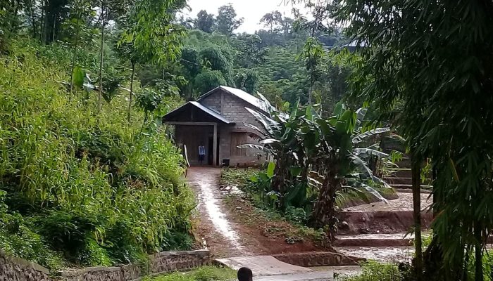 Catatan perjalanan pulang: Kembara tak bertepi