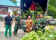 DLHKP Provinsi Papua Tengah Berikan 355 Bibit Tanaman ke Korem 173/PVB Nabire