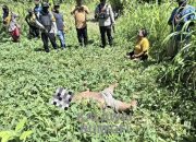 Lagi-lagi Ada Penemuan Mayat di SP 2