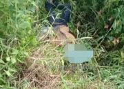 Dua Mayat Ditemukan dalam Sehari Di Kampung Kali Semen Nabire