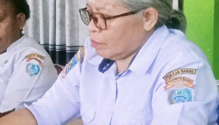 Malaria Menggila di Nabire, Dinkes Imbau Waspada