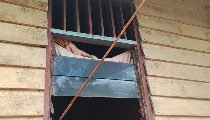 Gubernur, MRP, dan DPR Papua Selatan Didesak Cegah Konflik Sosial akibat PSN di Wilayah Masyarakat Adat Kamuyen