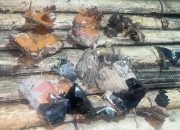 LBH Papua Desak Polisi Usut Teror di Kantor KNPB