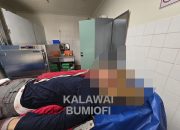 Penembakan OTK di Bekas Lahan Reklamasi Grasberg, Tembagapura