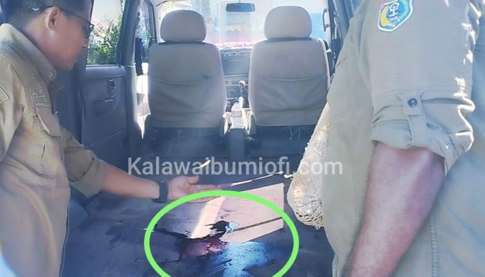 BGN Nabire Akan Tindak Tegas Dapur SPPG Siriwini 001 Akibat Langgar SOP