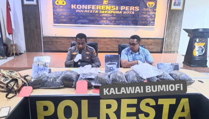 Residivis Narkoba Dibekuk : Polisi Sita 8,3 Kg Ganja, Terancam Hukuman Mati