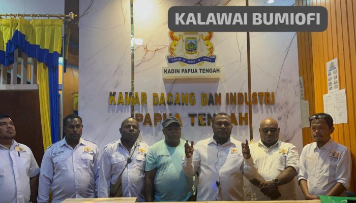 Kadin Papua Tengah Siapkan Diskusi Perdasus untuk Tambang Rakyat yang Berkeadilan
