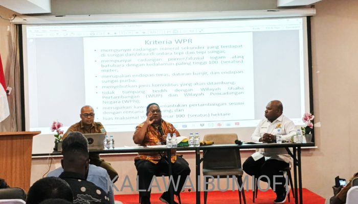 Legalkan Tambang Rakyat, John Gobai Paparkan Isi Perdasi No. 6 Tahun 2026