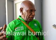 Strategi PKB Papua Tengah : Sistem Tim Pemetaan hingga Target Tambah Kursi DPRD