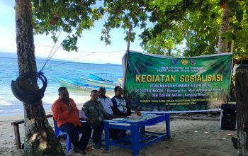 Pemprov Papua Tengah Kembangkan Tanaman Kelapa