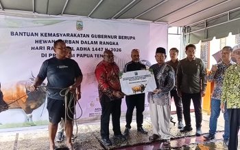 Jelang Idul Adha 1447 H, Gubernur Meki Serahkan Bantuan Hewan Kurban dari Pemprov dan Presiden RI di Nabire