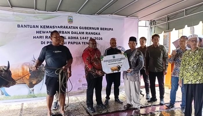 Jelang Idul Adha 1447 H, Gubernur Meki Serahkan Bantuan Hewan Kurban dari Pemprov dan Presiden RI di Nabire