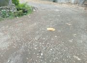 Warga Keluhkan Jalan Rusak di Jalan Ampera Kompleks Yapis Nabire, Akses Transportasi Terganggu