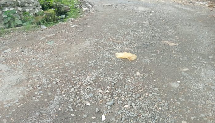 Warga Keluhkan Jalan Rusak di Jalan Ampera Kompleks Yapis Nabire, Akses Transportasi Terganggu