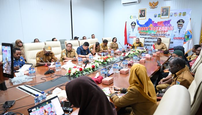 Cadangan Pangan Pemerintah Daerah: Jaringan Pengamanan Masyarakat