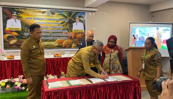 Pemprov Papua Tengah dan SCOPI Kerja Sama Perkuat Pemberdayaan Petani Kopi Lewat Budidaya Berkelanjutan