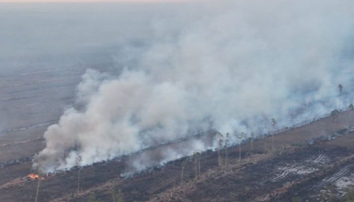 Karhutla Berulang: Saatnya Revisi Total UU Kehutanan