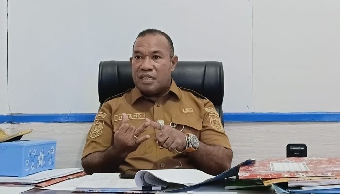 Lonjakan Karhutla: BPBD Papua Tengah Sempat Kelebihan Beban Kerja