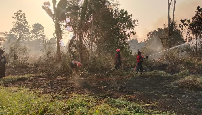 Damkar Pemprov Dikerahkan Padam Api di Tujuh Titik