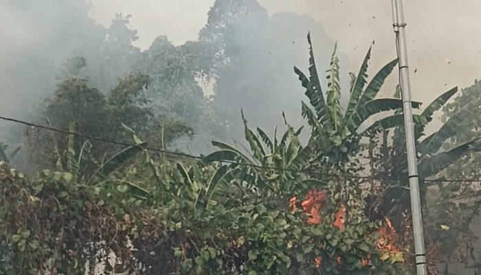 Kebakaran Bukit Meriam Diduga Disengaja, Warga dan Damkar Cepat Padam Sebelum Meluas