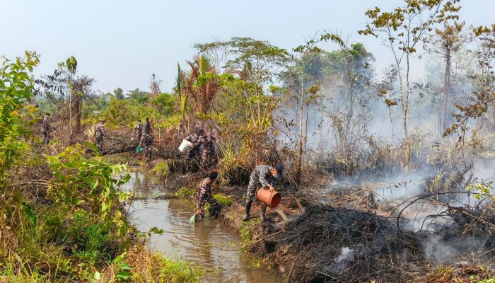 Kebakaran Lahan di Samabusa, Lanal Nabire dan Warga Bergerak Cegah Api Merambat ke Permukiman