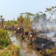 Kebakaran Lahan di Samabusa, Lanal Nabire dan Warga Bergerak Cegah Api Merambat ke Permukiman