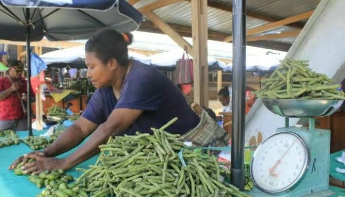 Harga Sirih di Nabire Meroket, Warga Minta Pemerintah Turun Tangan
