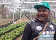 Festival Kopi