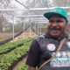 Memperkenalkan Produk Unggulan Petani Lewat Festival Kopi Papua Tengah