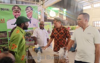 Andreas Gobai: Juri Nilai Stand, Biji Kopi, dan Barista Terbaik Festival Kopi Papua Tengah