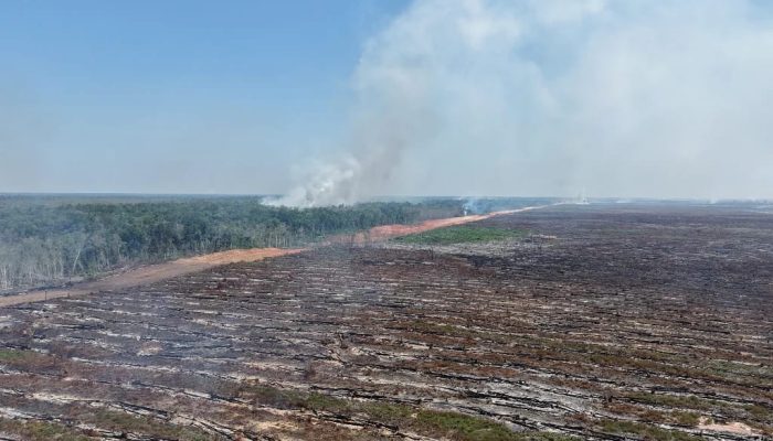 PMKRI Soroti Dampak PSN Terhadap Masyarakat Adat di Papua Selatan