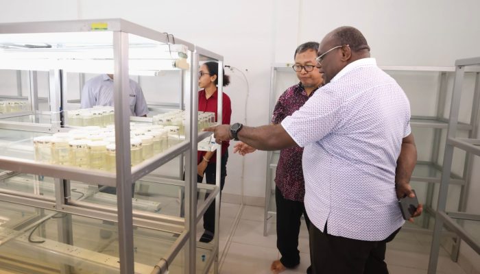 Meki Nawipa Dorong Digitalisasi Bantuan dan Penguatan Kopi Papua Tengah